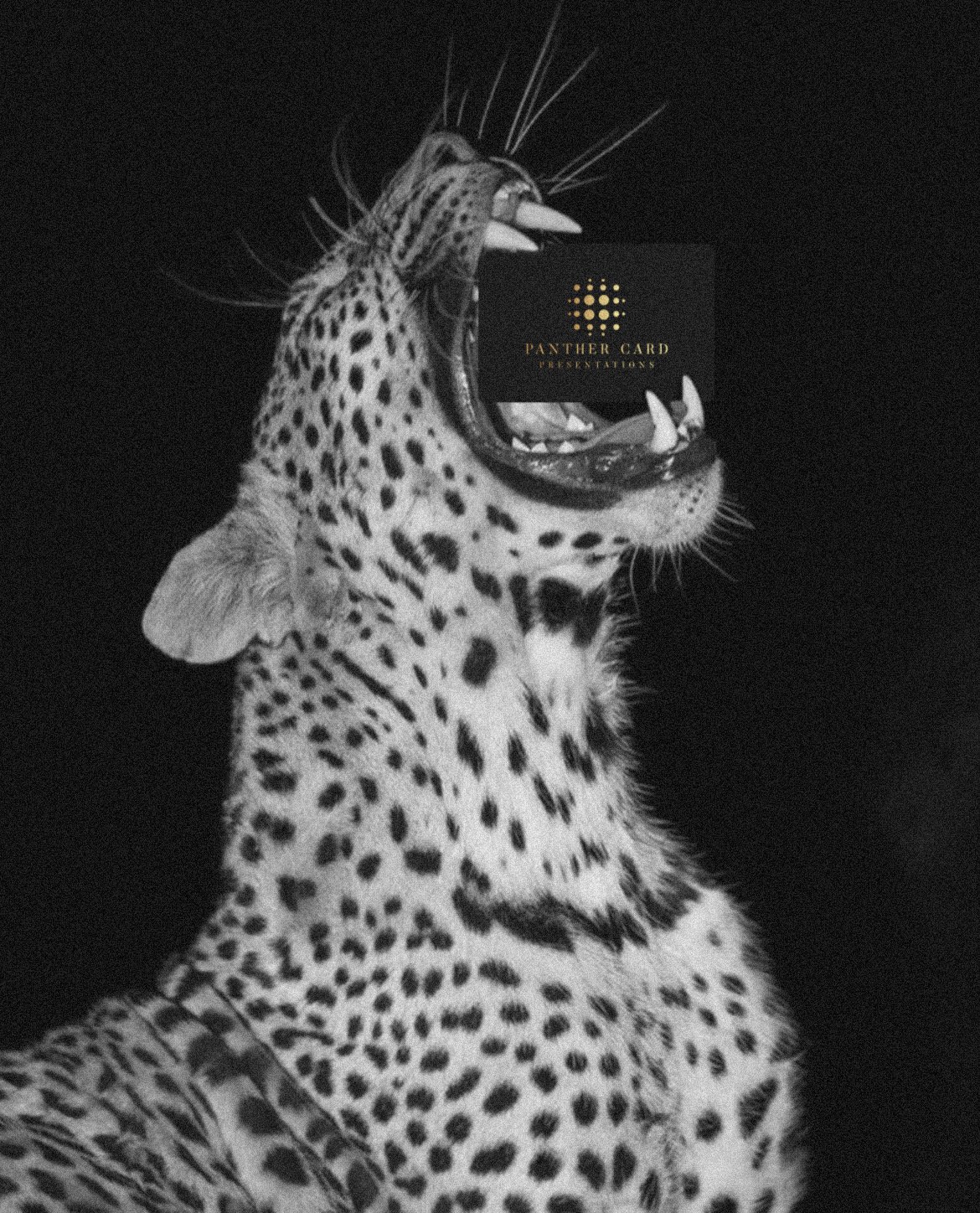PantherCard